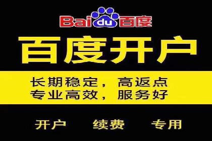 百度竞价开户的五大成功案例：如何进行精准投放？